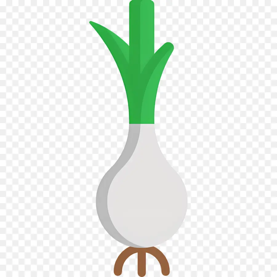 Alho，Cebola Verde PNG