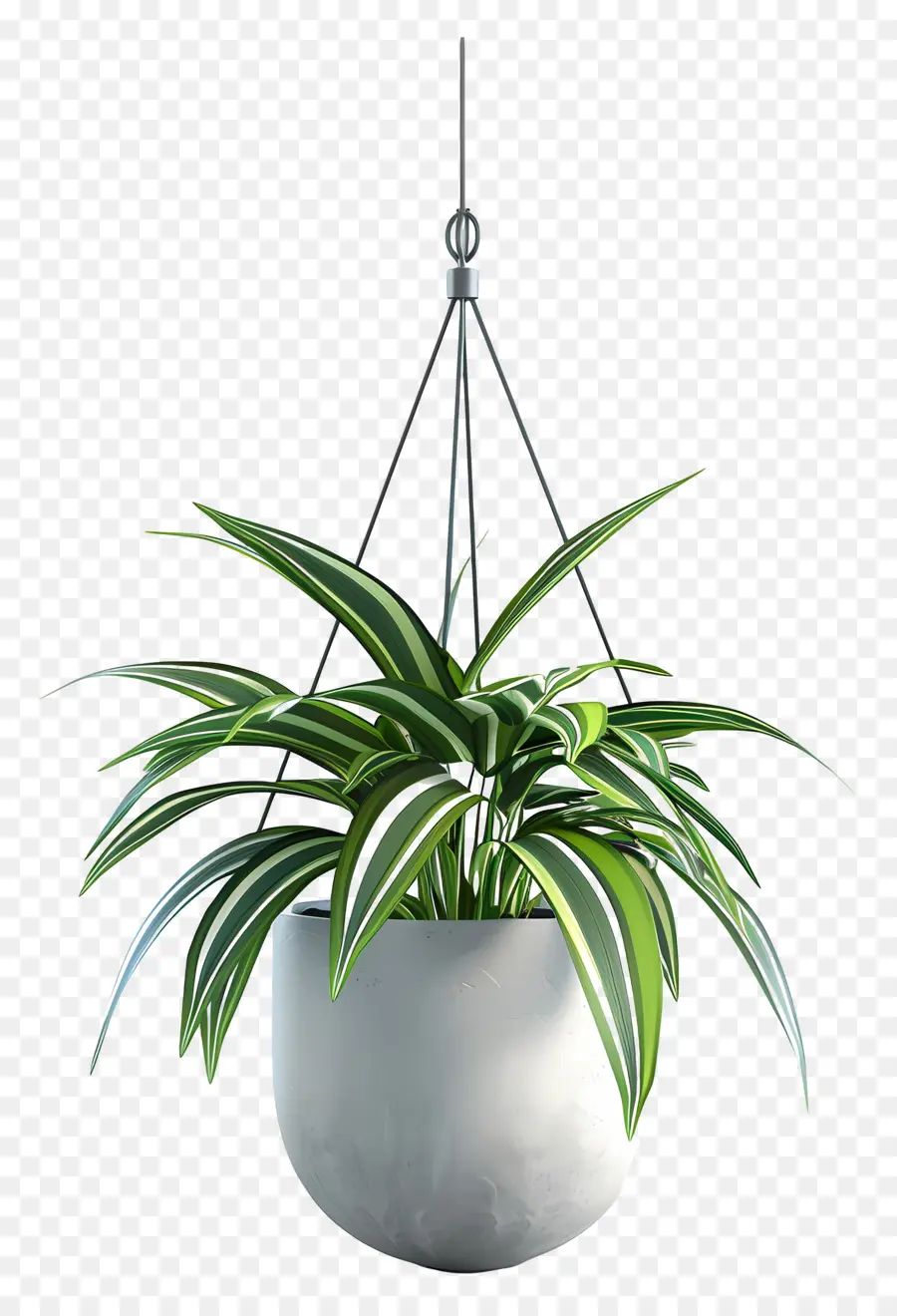 Vaso De Planta Suspenso，Planta Suspensa PNG