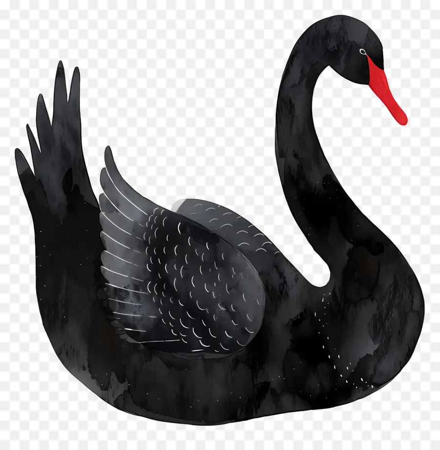 Cisne Negro，Penas PNG