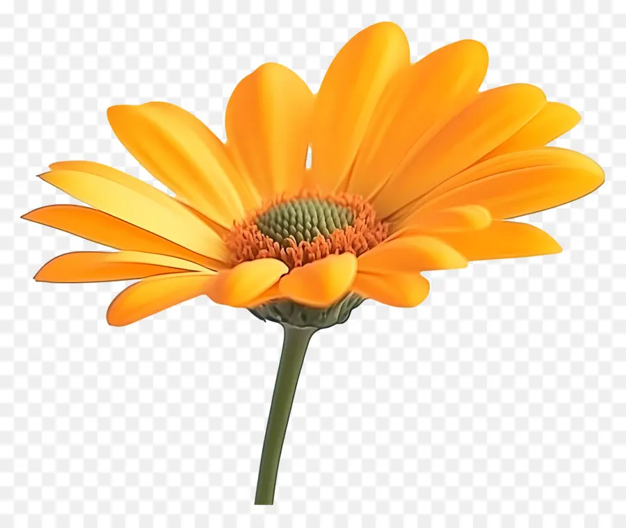 Bom Dia，Flor Amarela PNG