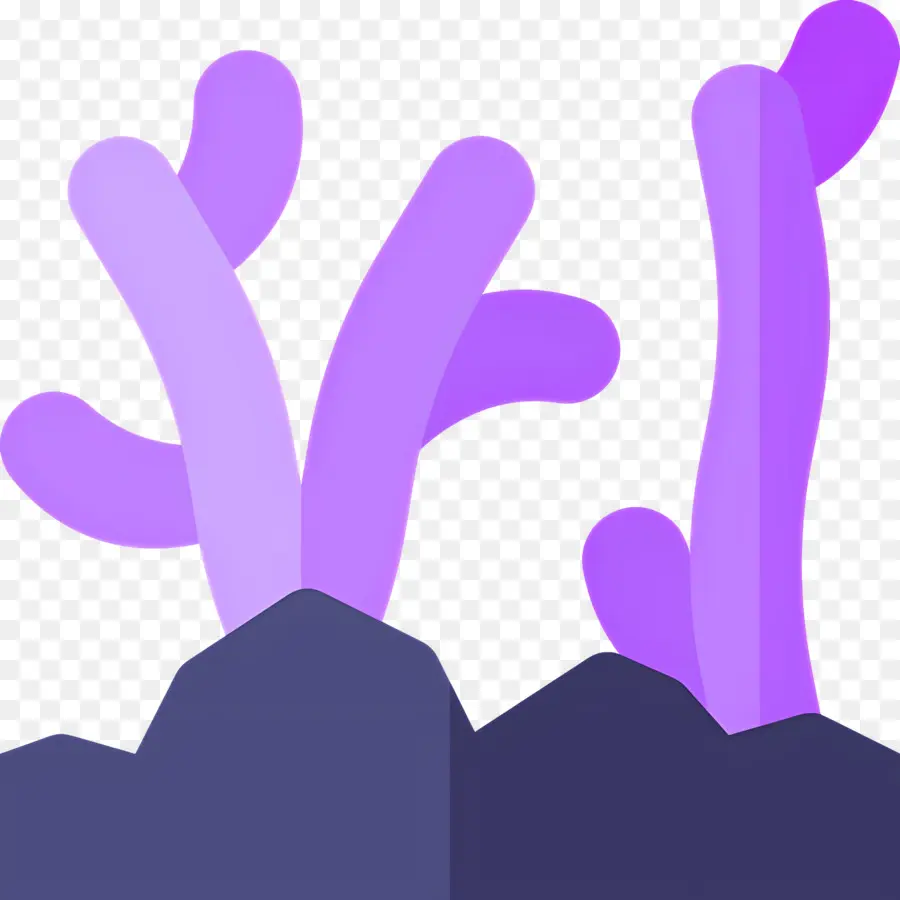 Alga，Coral Roxo PNG