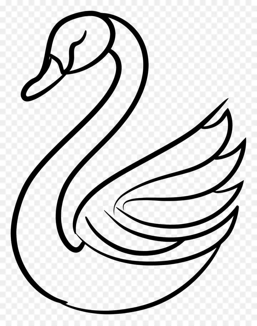 Contorno Do Cisne，Cisne PNG