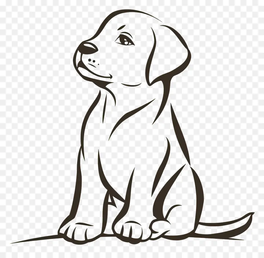 Contorno De Cachorro，Cachorro PNG