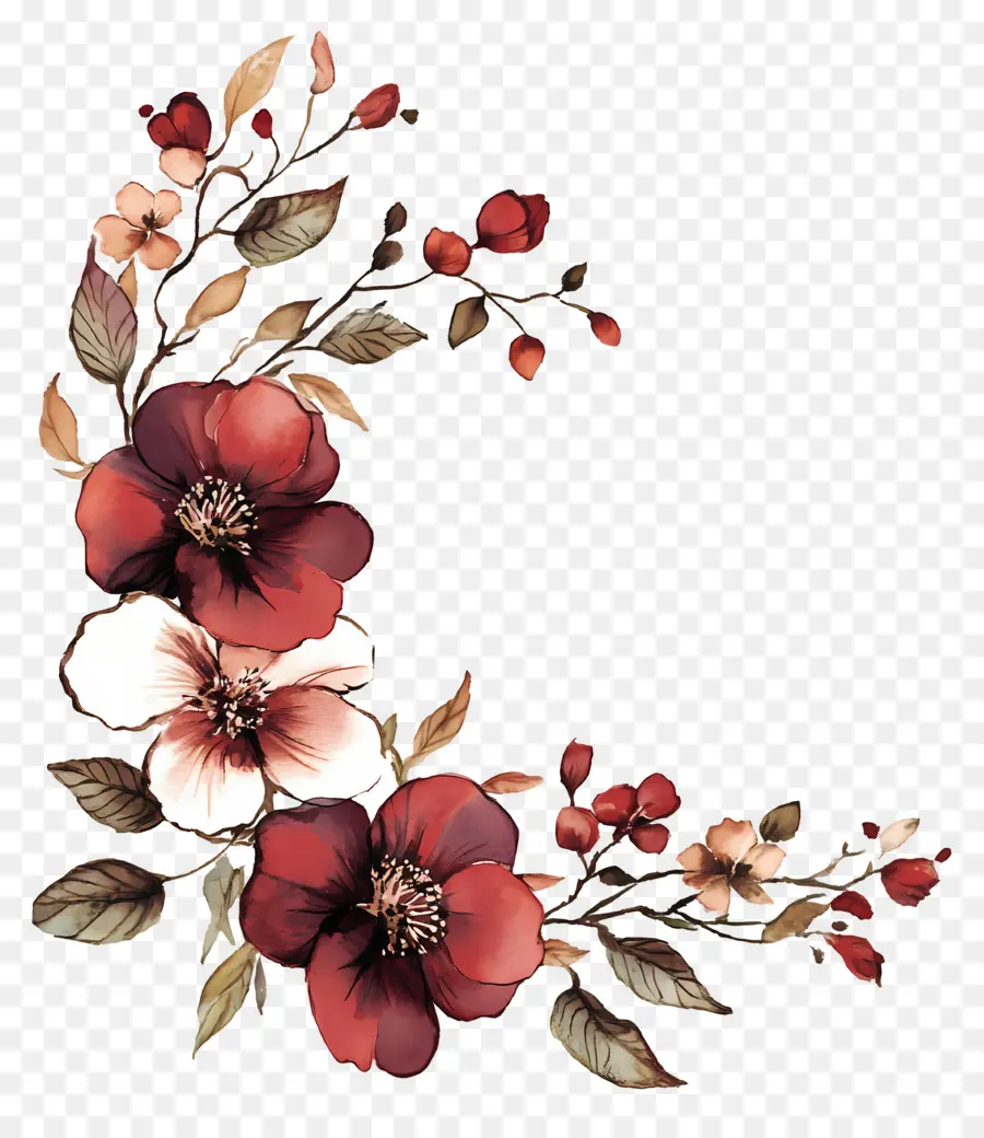 Marrom，Canto Floral Vermelho PNG