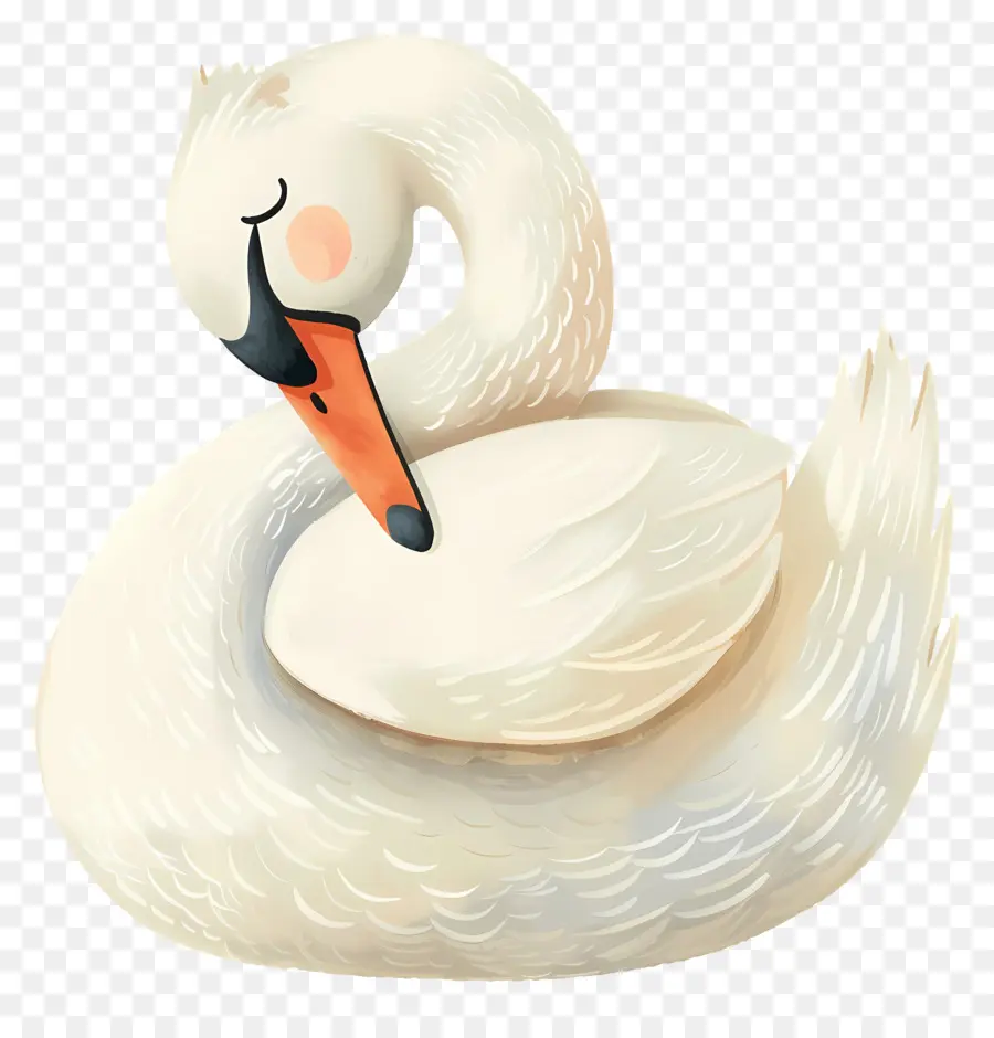 Cisne Fofo，Cisne Branco PNG