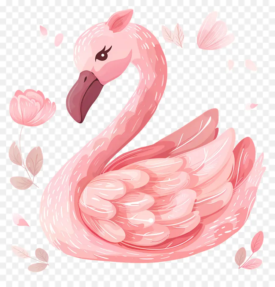 Cisne Rosa，Flamingo Rosa PNG