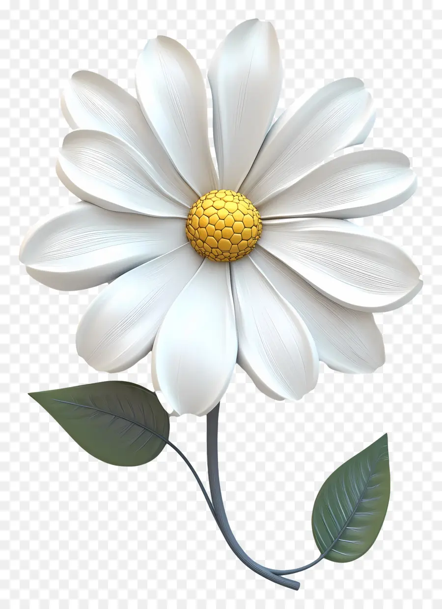 Bom Dia，Flor Branca PNG