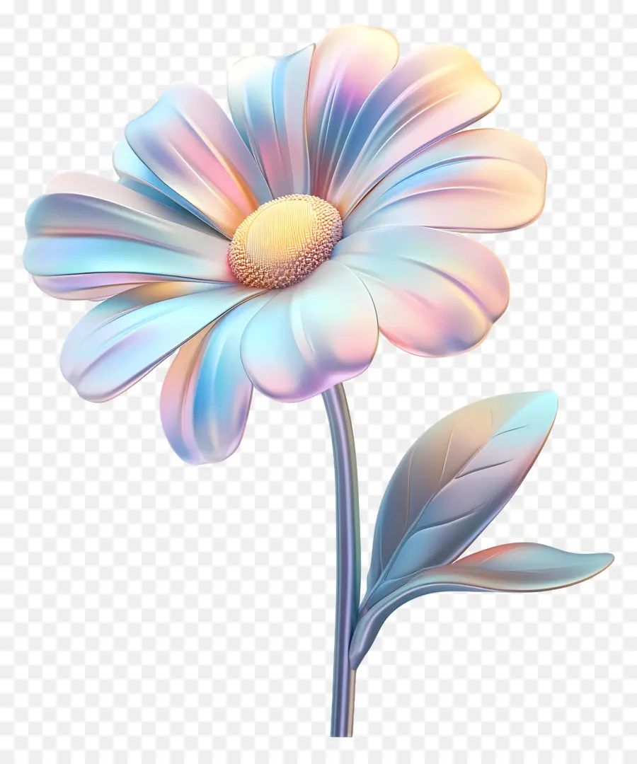 Bom Dia，Flor Branca PNG