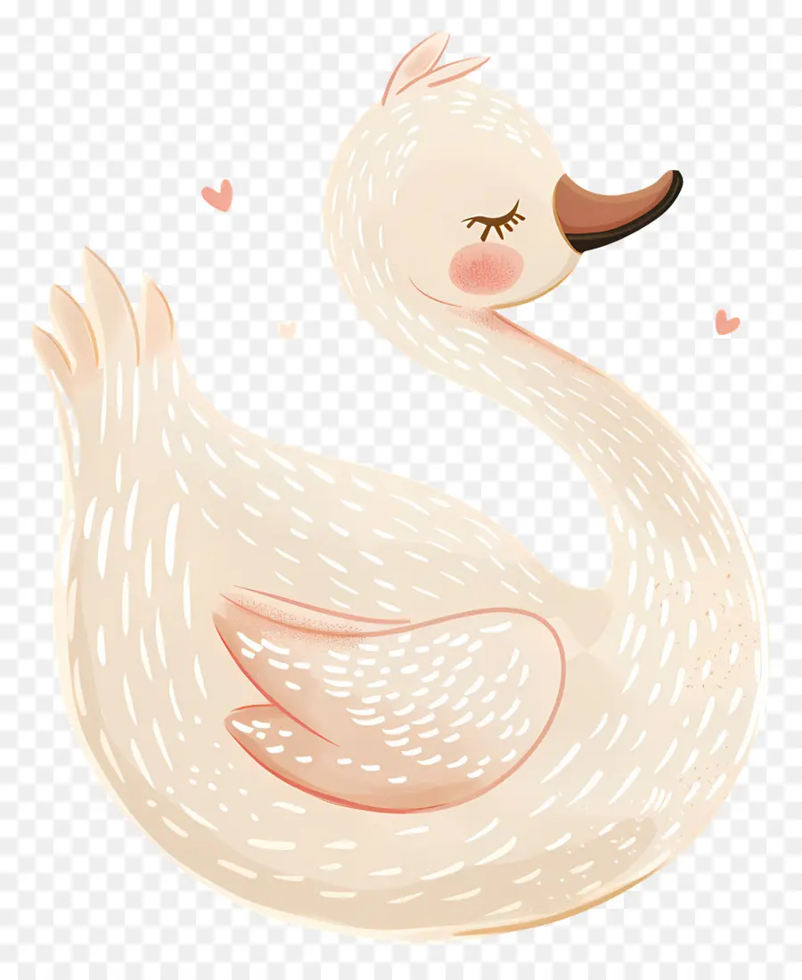 Cisne Fofo，Pato PNG