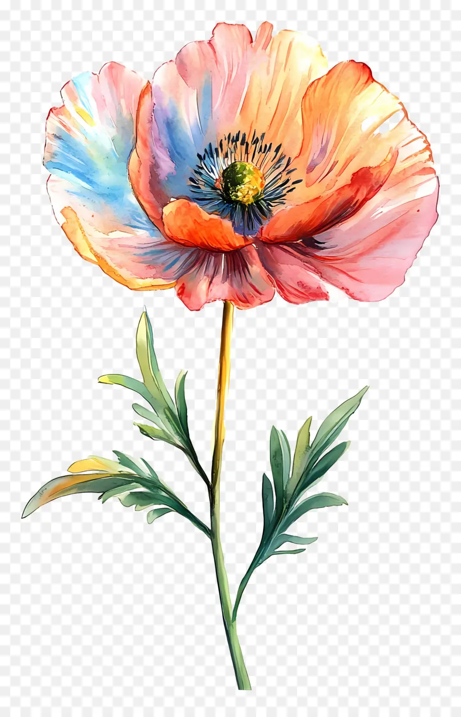 Bom Dia，Flor Laranjeira PNG