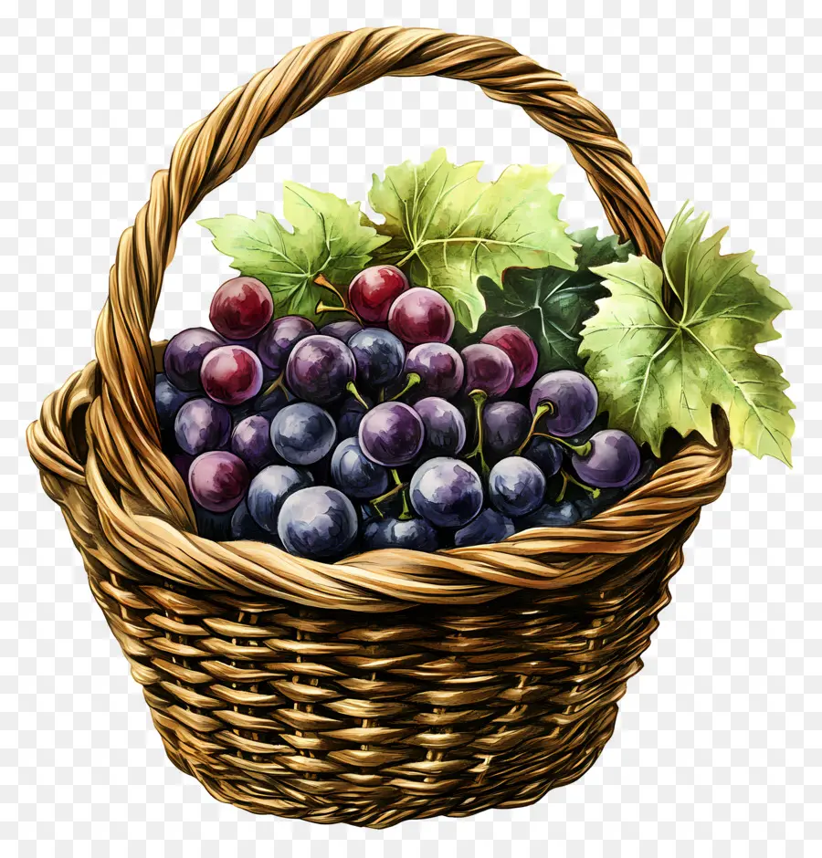 Uva，Cesta De Uvas PNG