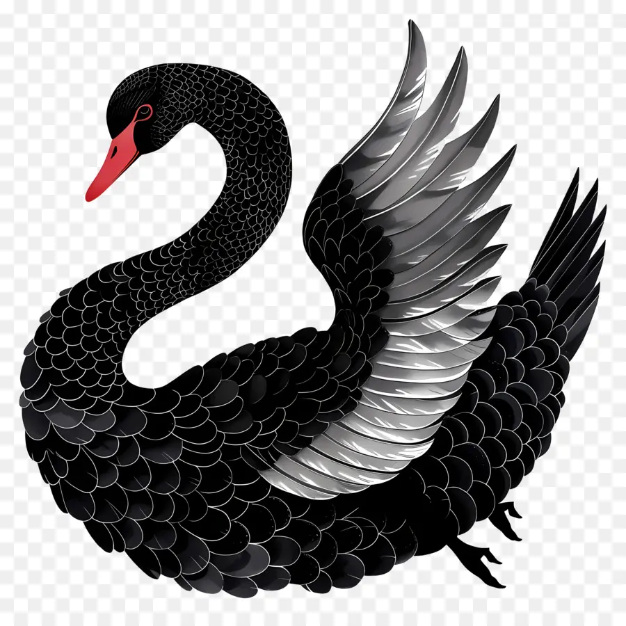 Cisne Negro，Elegante PNG