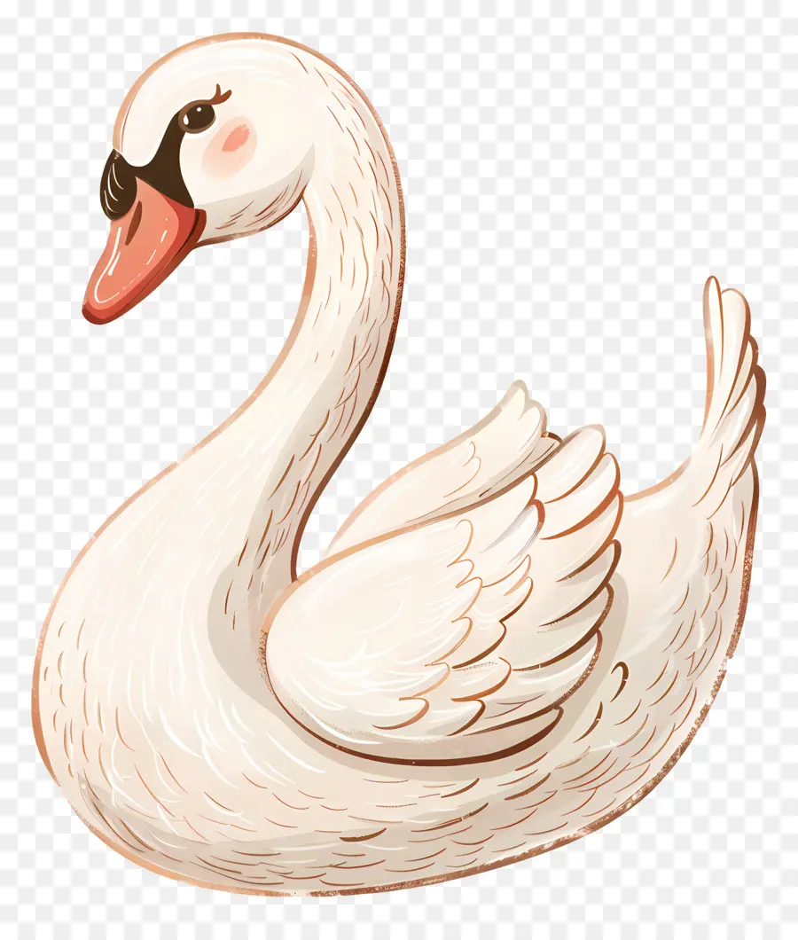 Cisne Fofo，Cisne Branco PNG