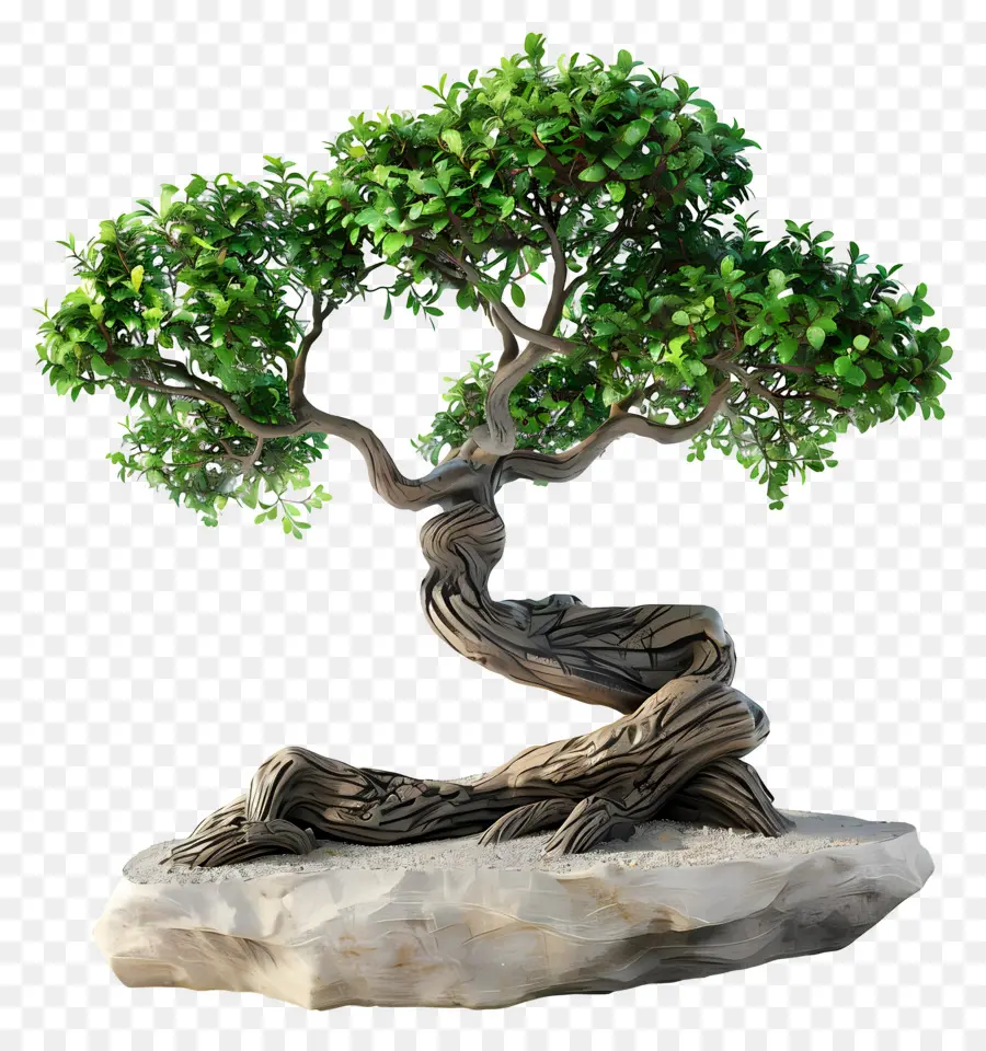 Árvore Bonsai，Miniatura PNG