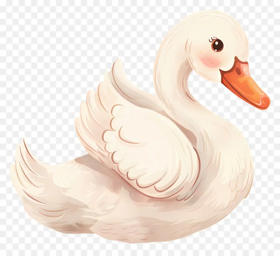 Cisne Fofo，Cisne Branco PNG