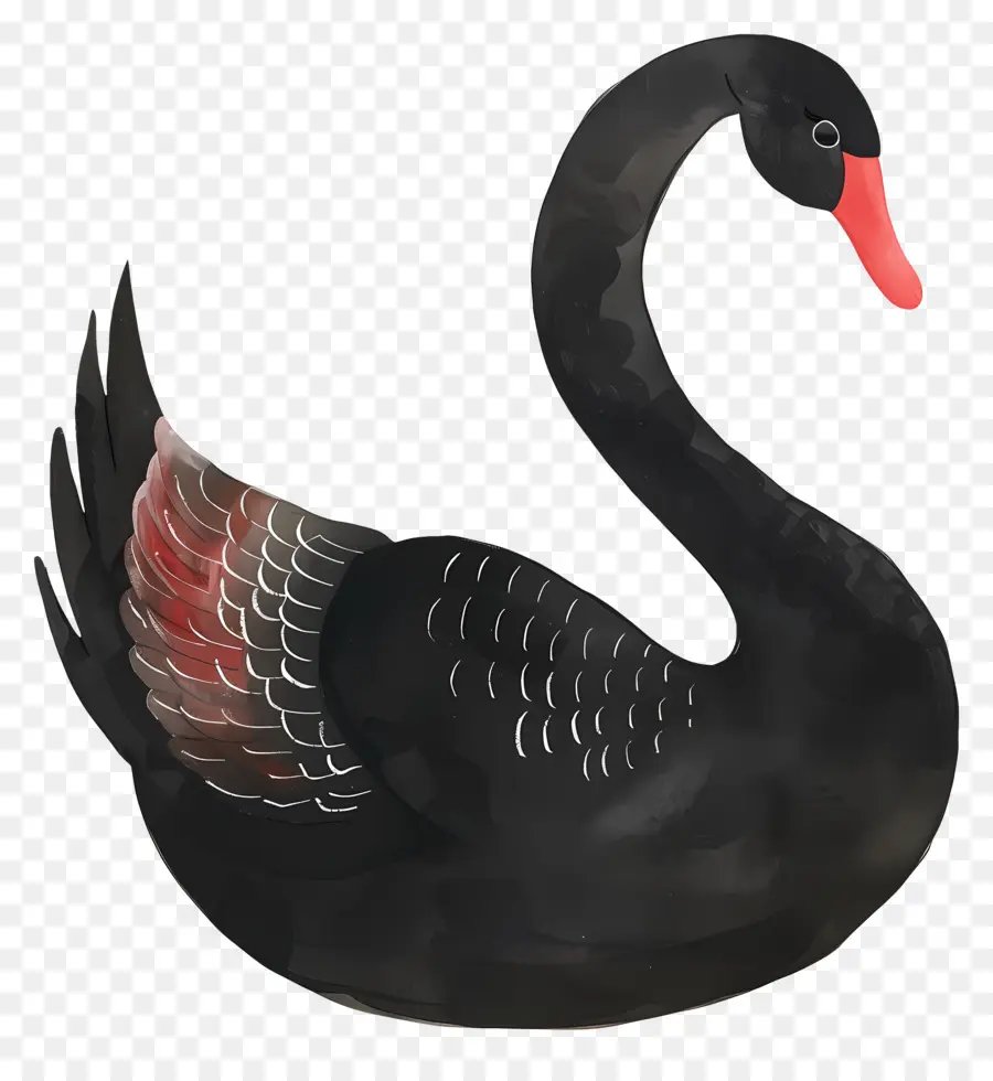 Cisne Negro，Pássaro PNG