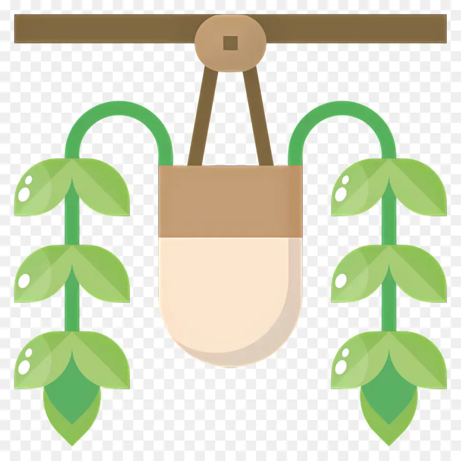 Plantas Penduradas，Planta Suspensa PNG