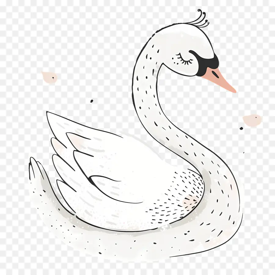 Cisne Fofo，Cisne Branco PNG