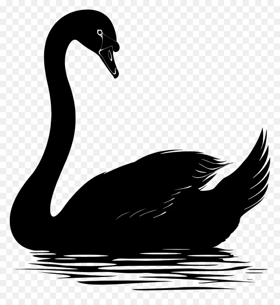 Silhueta De Cisne，Cisne Negro PNG