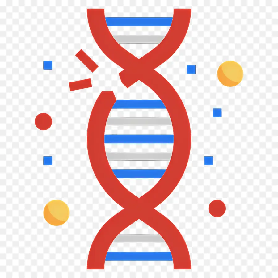 Mutação Do Dna，Adn PNG