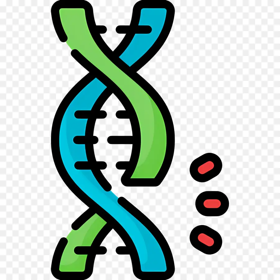 Mutação Do Dna，Fio De Dna PNG