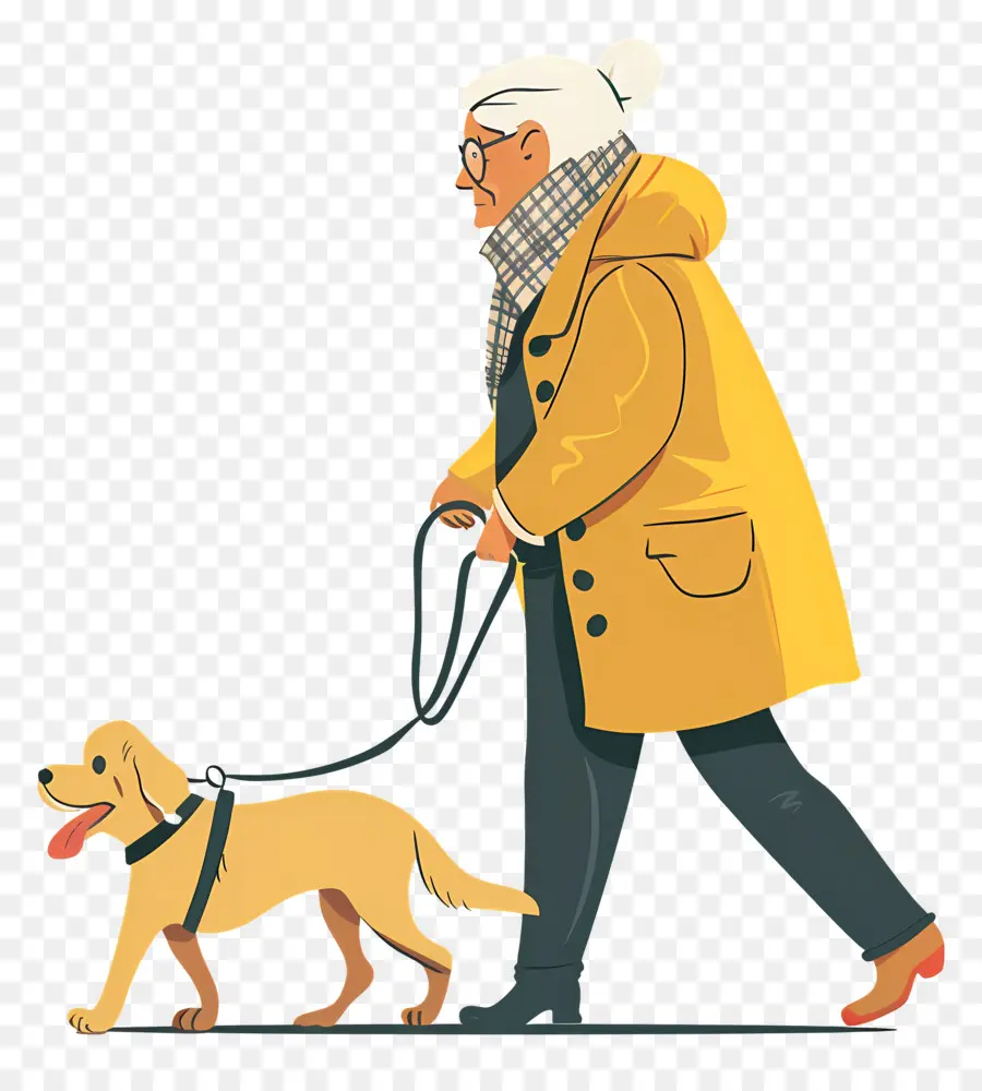 Mulher Idosa Passeando Com Cachorro，Pessoa Passeando Com Cachorro PNG