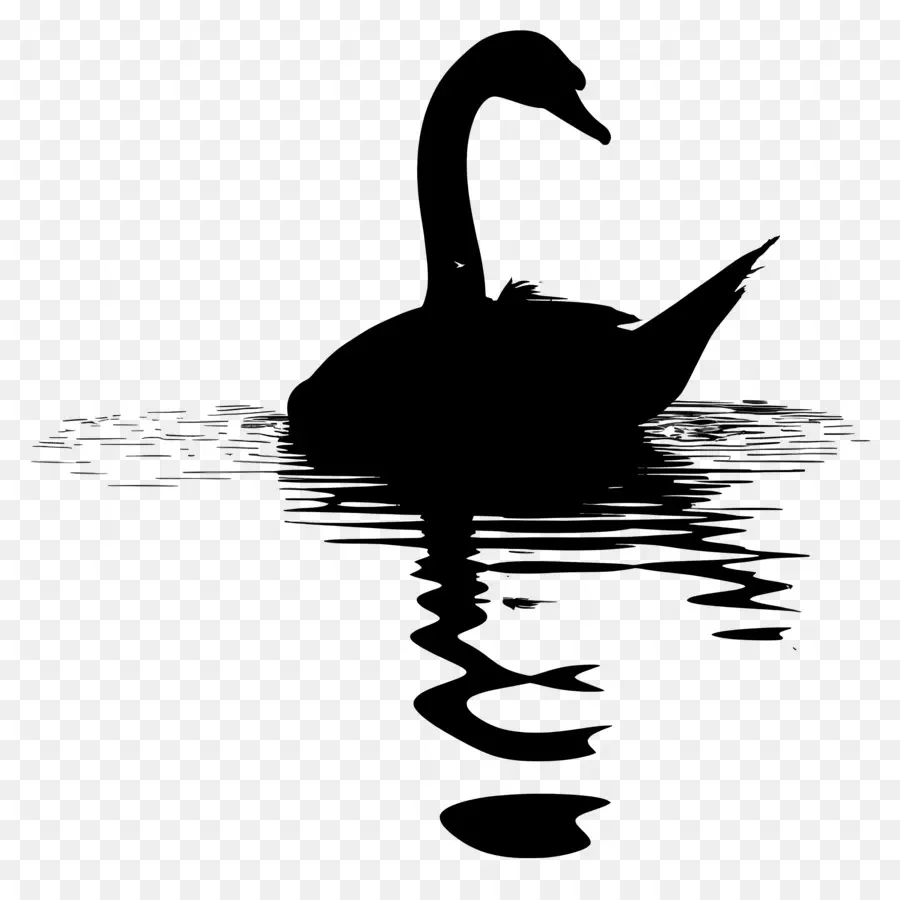 Silhueta De Cisne，Cisne Negro PNG