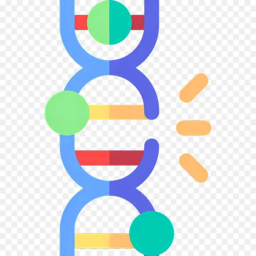 Mutação Do Dna，Fio De Dna PNG