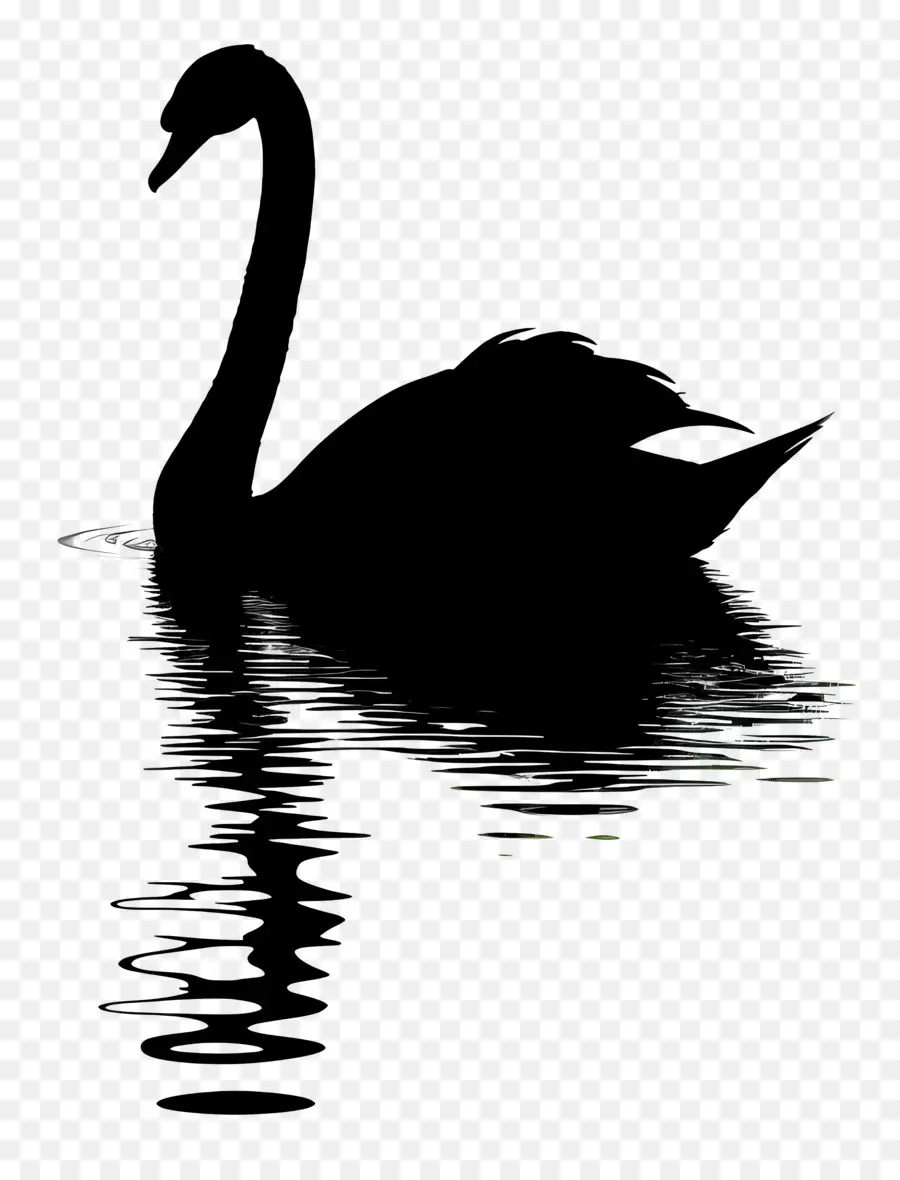 Silhueta De Cisne，Cisne Negro PNG