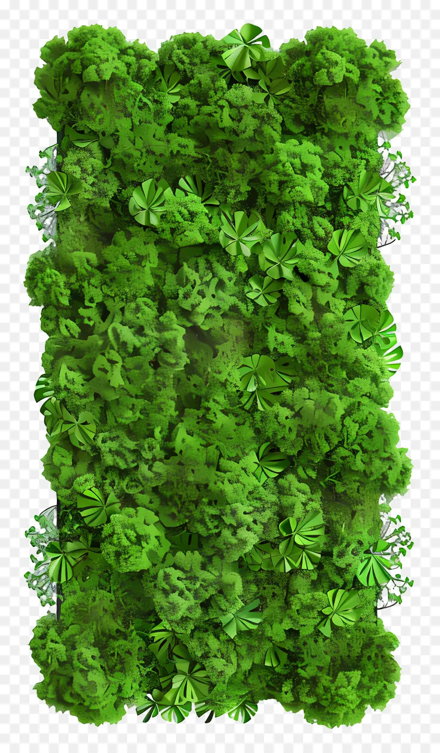 Musgo De Parede，Plantas Verdes PNG