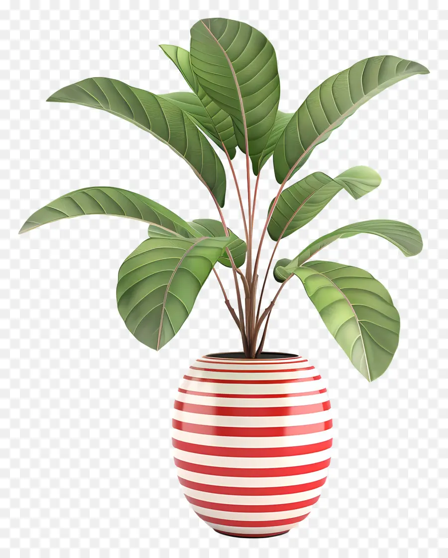 Planta Tropical Em Vaso，Planta Em Vaso PNG