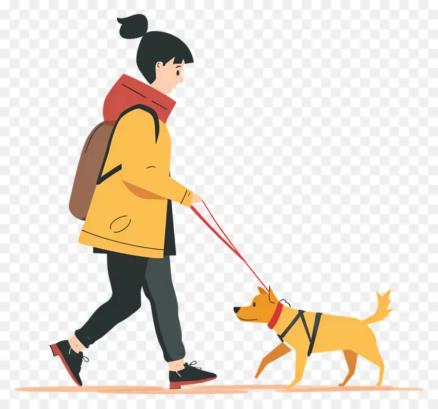 Mulher Passeando Com Cachorro，Cachorro PNG