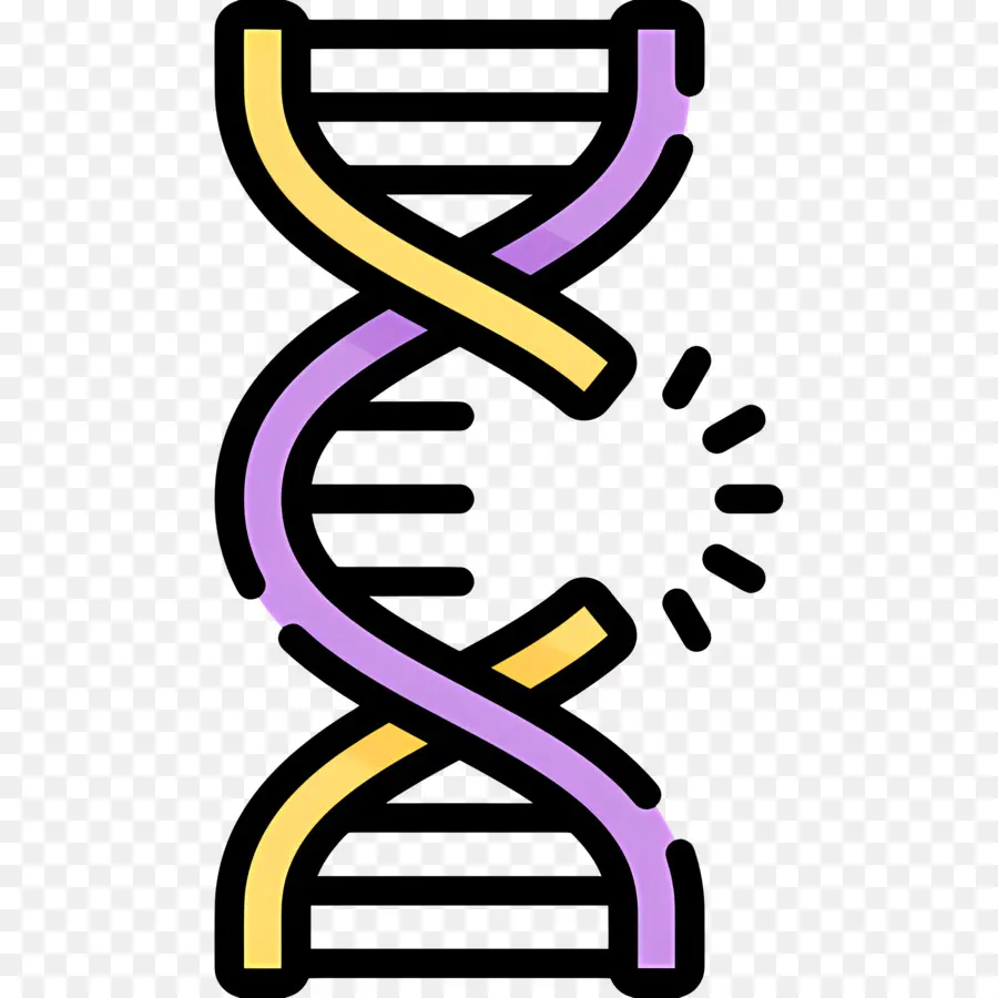 Mutação Do Dna，Adn PNG