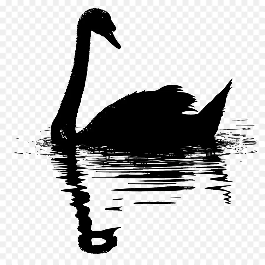 Silhueta De Cisne，Cisne Negro PNG