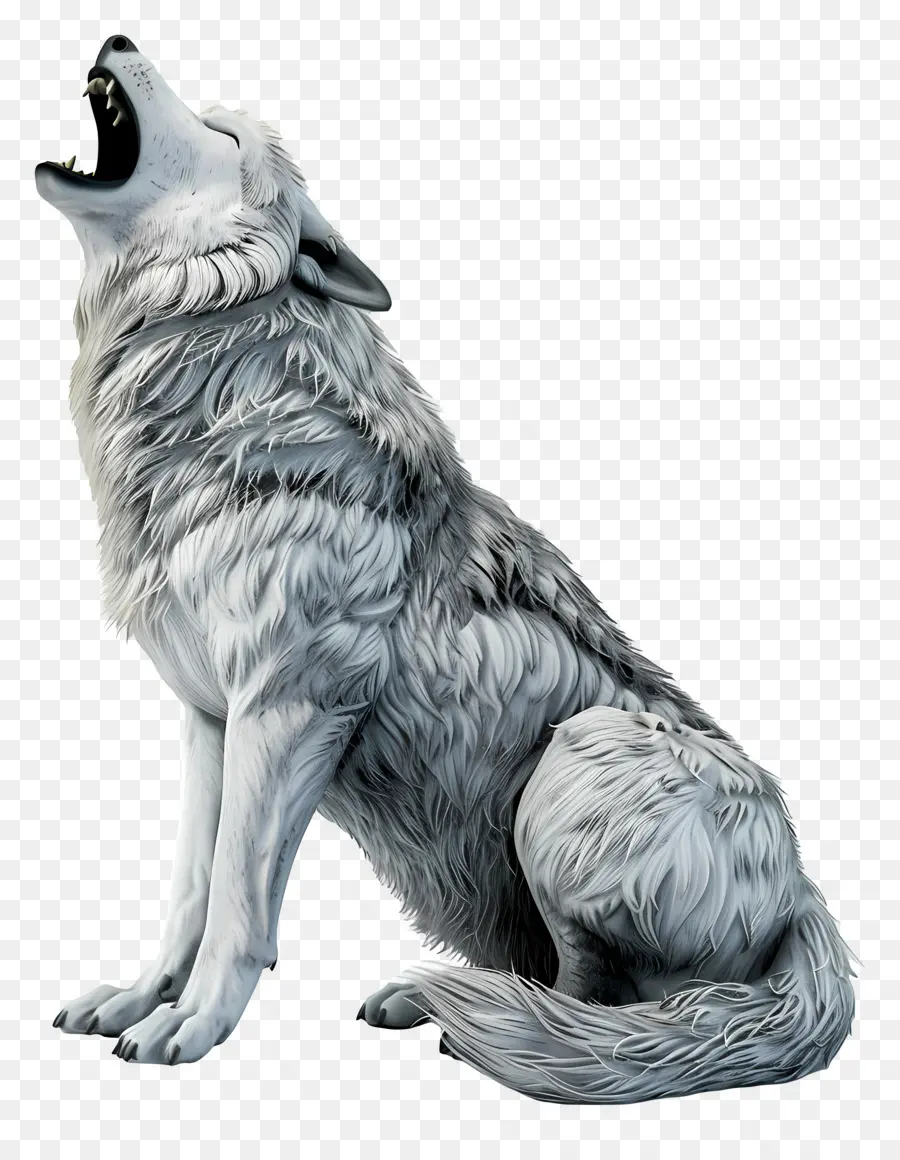 Lobo Uivando，Lobo Uivante PNG