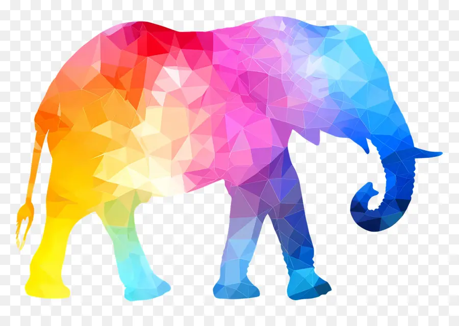 Silhueta De Elefante，Elefante Colorido PNG