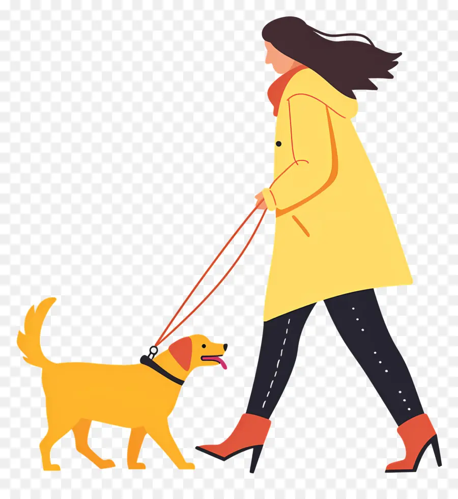 Mulher Passeando Com Cachorro，Cachorro PNG