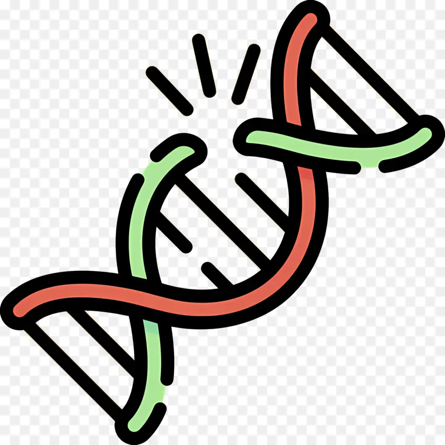 Mutação Do Dna，Fita De Dna PNG