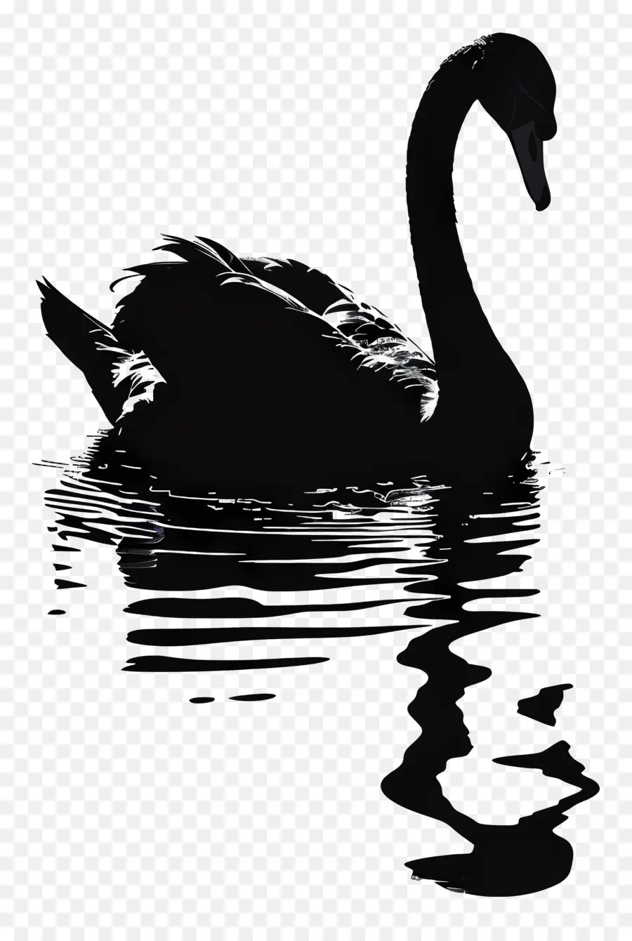 Silhueta De Cisne，Cisne Negro PNG