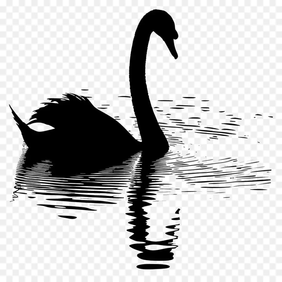 Silhueta De Cisne，Cisne Negro PNG