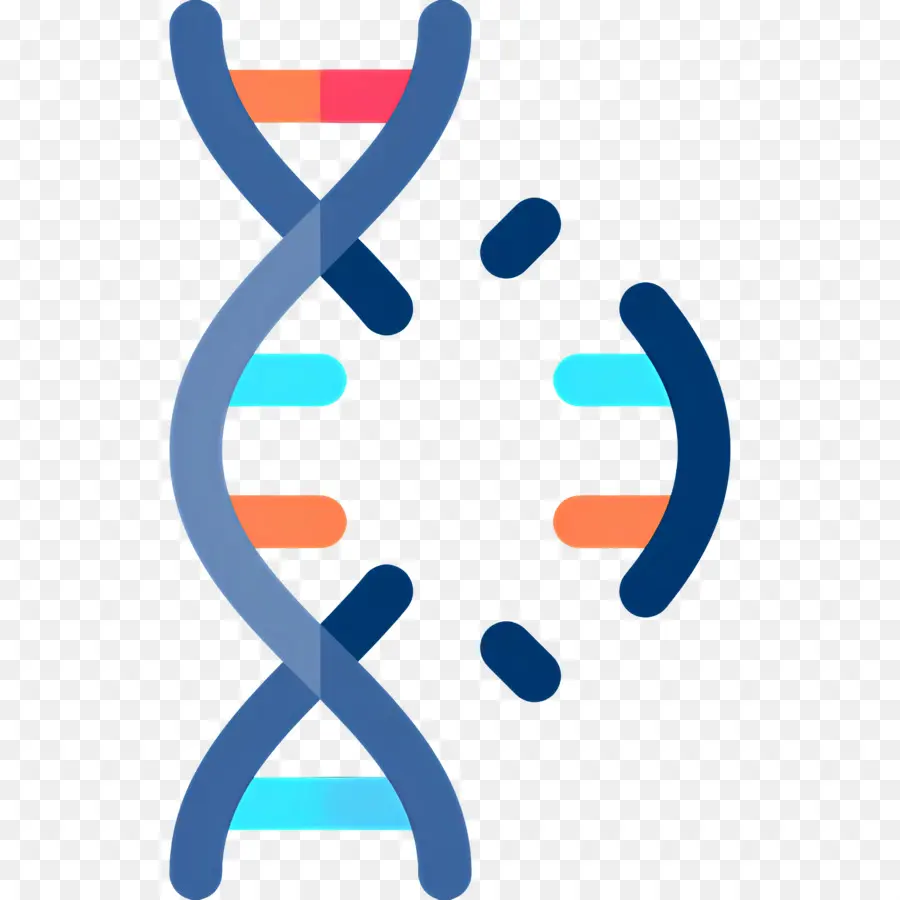 Mutação Do Dna，Adn PNG