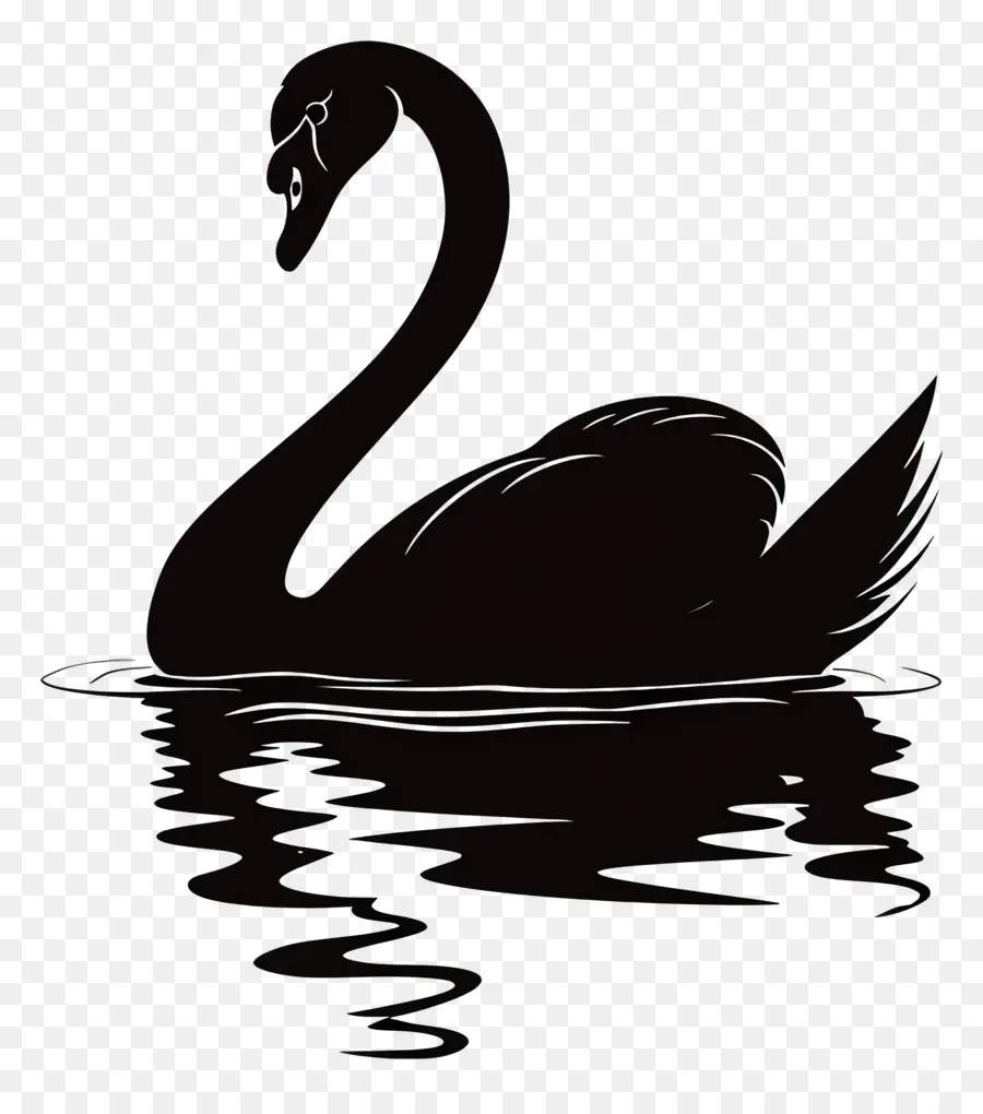 Silhueta De Cisne，Cisne Negro PNG