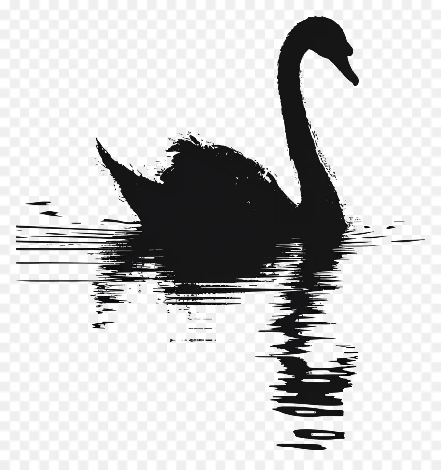 Silhueta De Cisne，Cisne Negro PNG