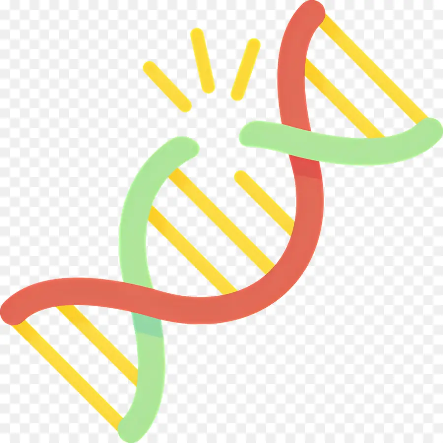 Mutação Do Dna，Fita De Dna PNG