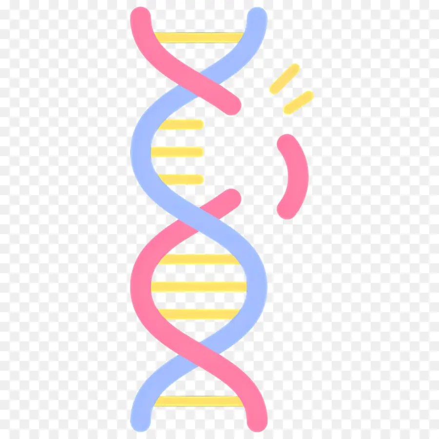 Mutação Do Dna，Fio De Dna PNG