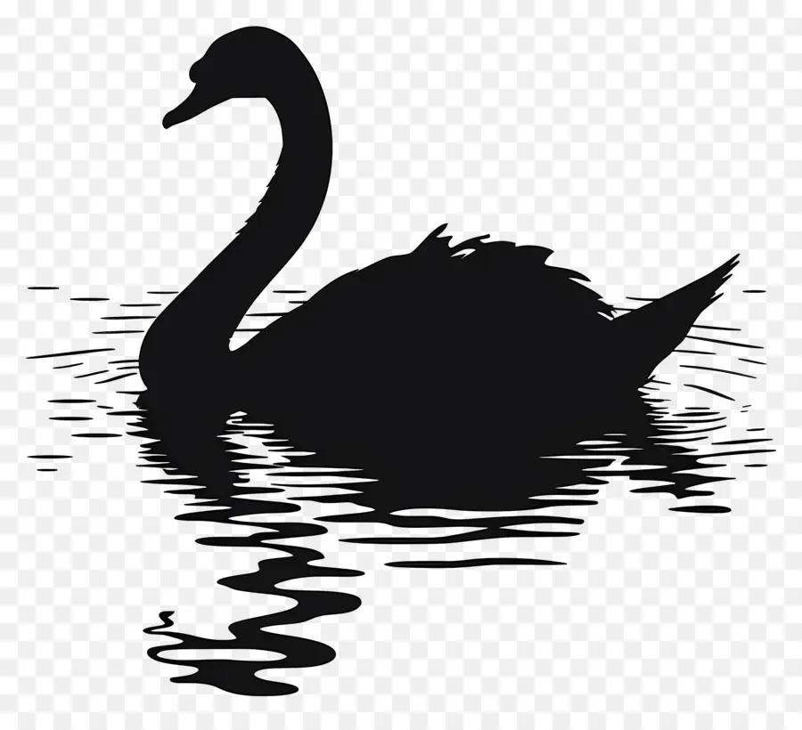 Silhueta De Cisne，Cisne Negro PNG