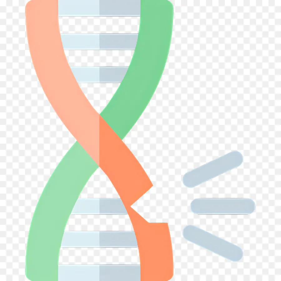 Mutação Do Dna，Fio De Dna PNG