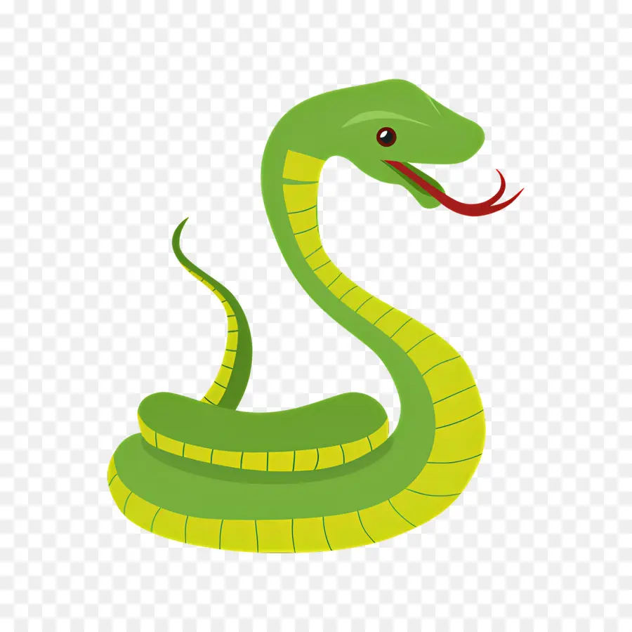 Cobra，Cobra Verde PNG