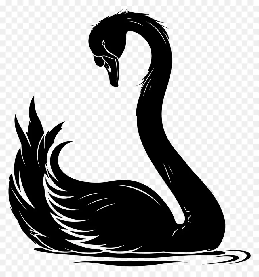 Silhueta De Cisne，Cisne PNG