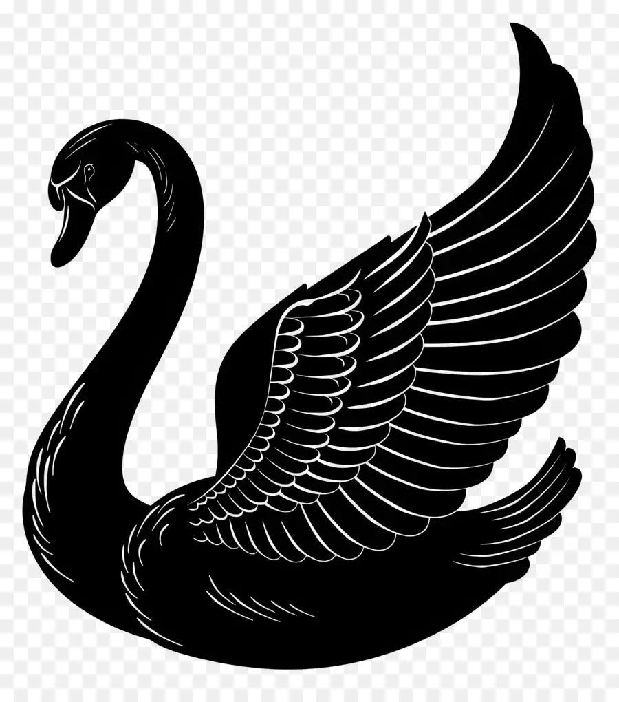 Silhueta De Cisne，Cisne PNG